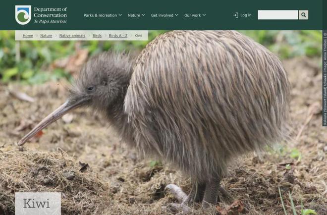 人直呼：“打飞的吃火锅自由了！”圣诞假期出行更方便！麻将胡了试玩网站免费重磅！新中新航线公布！票价曝光华(图5)