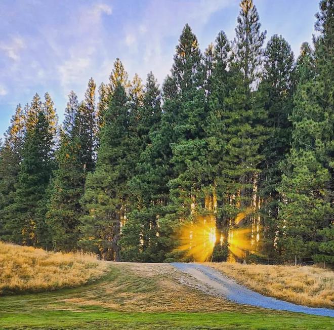 人直呼:“打飞的吃火锅自由了!”圣诞假期出行更方便!麻将胡了试玩网站免费重磅!新中新航线公布!票价曝光华(图4) 人直呼:“打飞的吃火锅自由了!”圣诞假期出行更方便!麻将胡了试玩网站免费重磅!新中新航线公布!票价曝光华(图4)