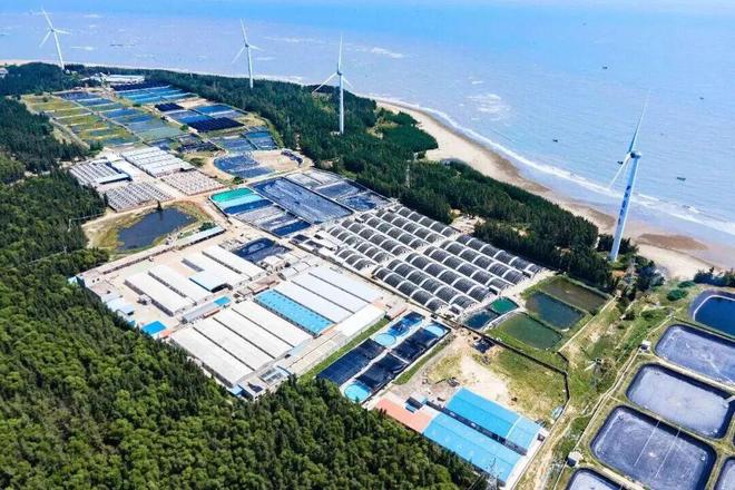 、未来还要降养殖户亏惨了！麻将胡了2游戏入口蛋价暴跌(图7)